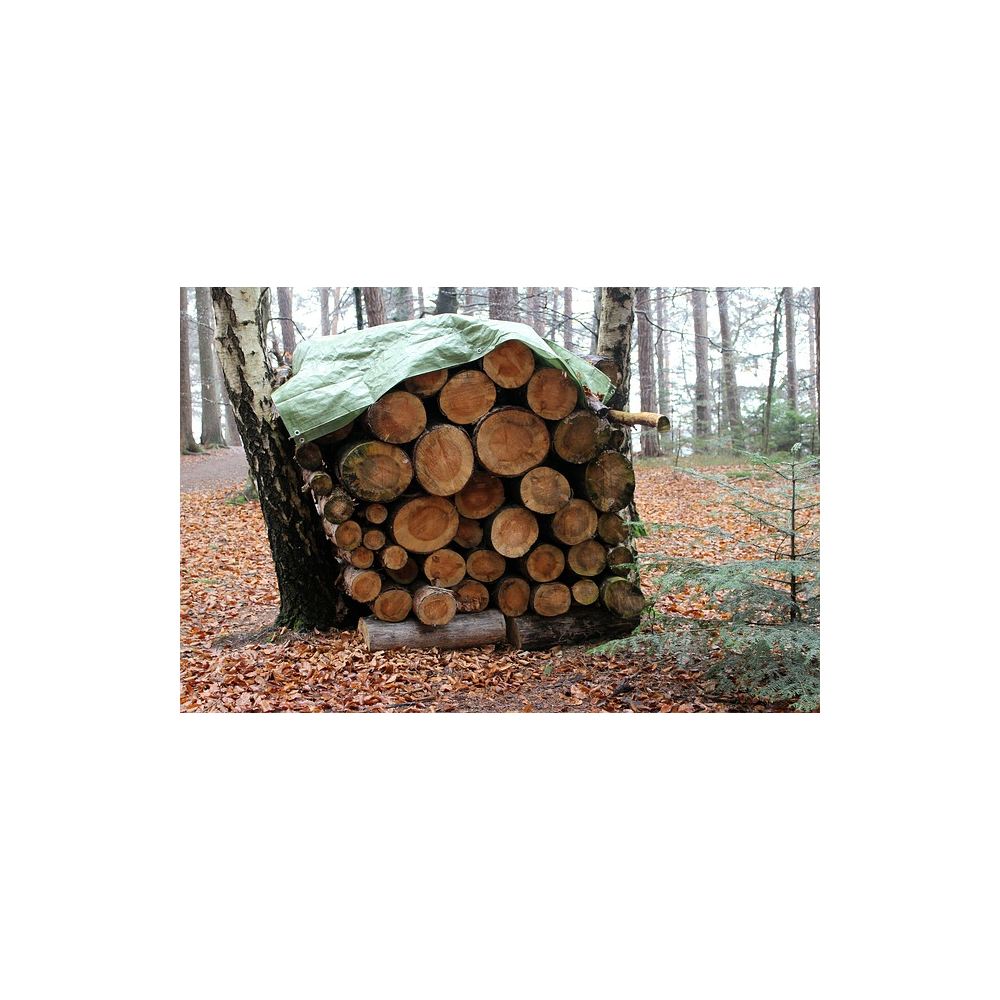 100g/m²Gewebeplane Grün | Wasserdichte Abdeckplane mit Ösen | Reißfeste Schutzplane & Leicht-Tarp für Garten, Holzabdeckung, Anhänger & Kurzzeit-Einsatz